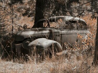 Abandoned Car Trust Auto HD Wallpaper Of Cars Trucks