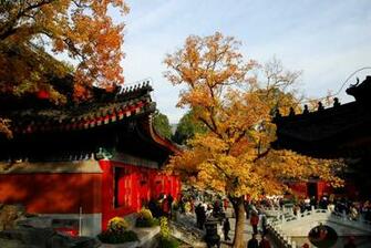 Special Beijing Wallpaper Full HD Pictures