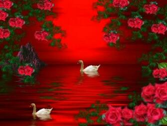 Wallpaper Beautiful Roses