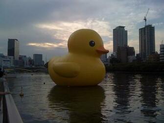 Rubber Duck Wallpaper