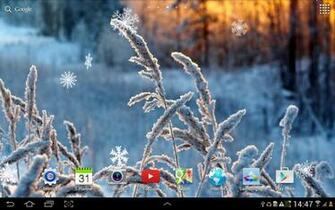 Winter Flowers Live Wallpaper Android Apps On Google Play