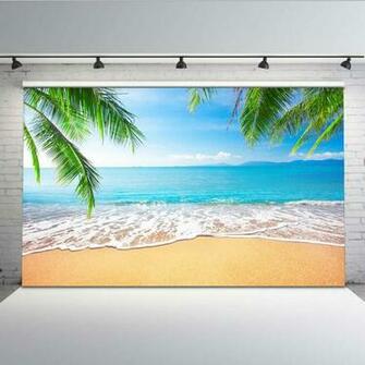 Amazon Comophoto Summer Party Photo Backdrops Beach Blue Sky