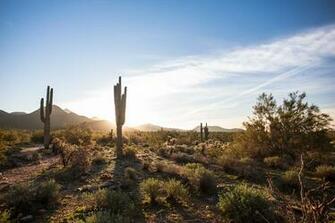 Wallpaper Scottsdale Arizona Usa America