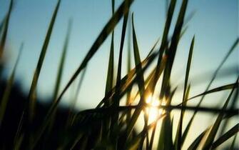 HD Wide Moring Desktop Pc And Mac Wallpaper