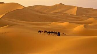 Wallpaper Sand Desert Sahara Camel Morocco