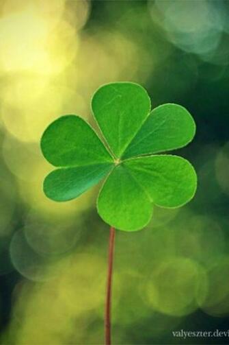 iPhone Wallpaper St Patrick S Day Tjn