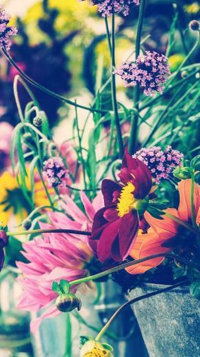 Floral iPhone Plus Wallpaper For A Sunny Spring