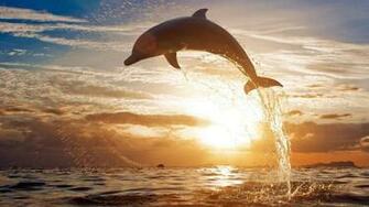 Full HD High Definition Wallpaper Pictures For Desktop Background