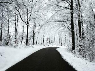 Winter Wallpaper