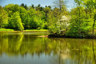 Photo Usa Randall Ohio Summer Nature River Trees