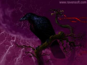 Raven Wallpaper Desktop