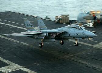 Tomcat HD Wallpaper Pictures