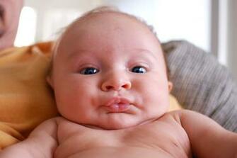 Funny Babies Wallpaper