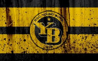 Bsc Young Boys Wallpaper X Net