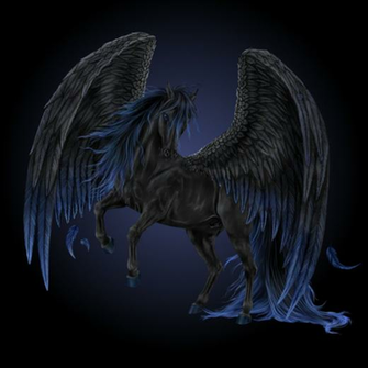 Black Pegasus By Howrseprofile