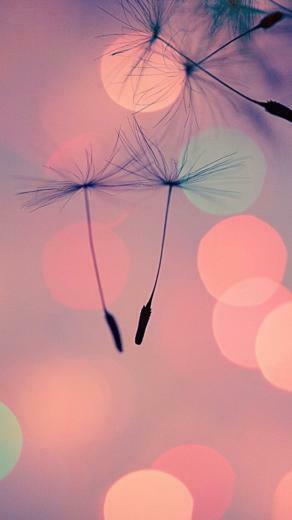 Make A Wish iPhone Wallpaper Classy Sassy And Smart Phone Pin