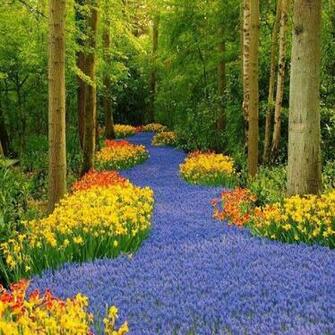 Beautiful Wallpaper Of Lindo Jardim De Flores