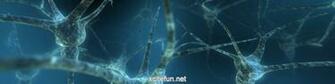 Tripple Screen Desktop Wallpaper Misc Photography