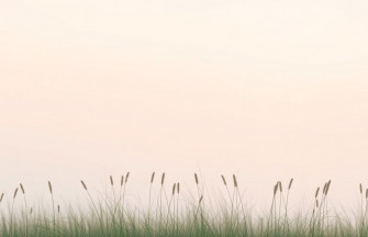 Minimalist Aesthetic Wallpaper