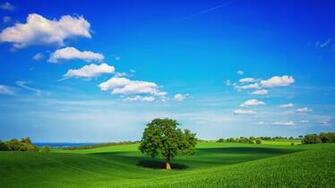 Amazing Nature Wallpaper Amusingfun