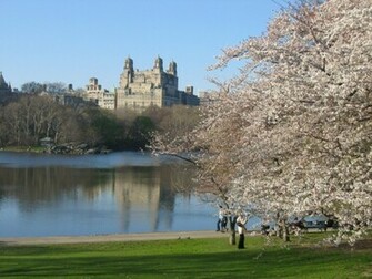 Central Park Wallpaper