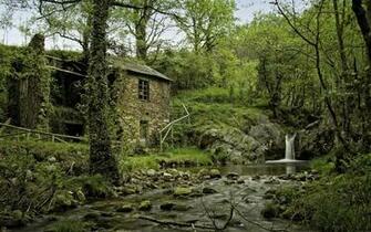 Abandoned Cottage Wallpaper