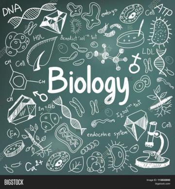 Background Biology On