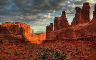 In The Desert Wallpaper And Image Pictures Photos