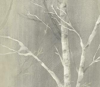 Birch Trees Wallpaper Tree Birches And
