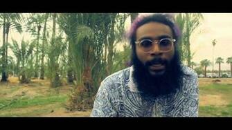 Flatbush Zombies Palm Trees