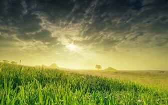 Sky Spring Nature Wallpaper And Image Pictures Photos