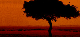 African Sunset Wallpaper By Lightningguardian
