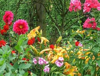 Pin Summer Flower Garden Background Wallpaper