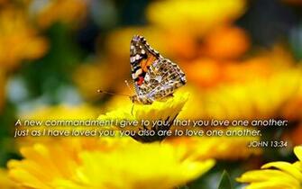 Bible Verses About Love Proverbs HD Wallpaper