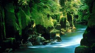 Nature Wallpaper
