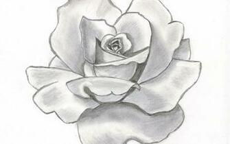 Pencil Art Wallpaper