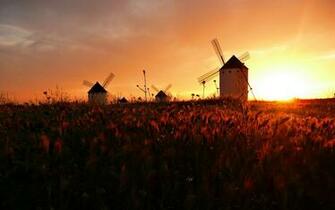 Dutch Windmill Wallpaper