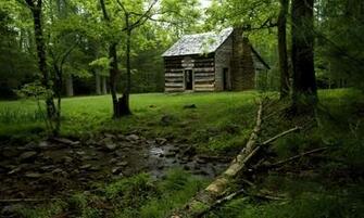 Old Forest House Wallpaper Image