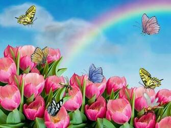 Animated Flower Wallpaper Live HD