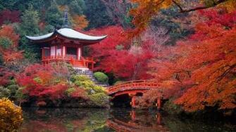 Beautiful Autumn Scenery In Japan Phzzz S Gallery