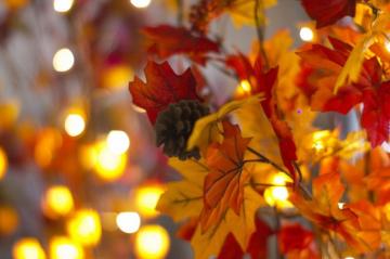 Fall Lights In Desktop Wallpaper