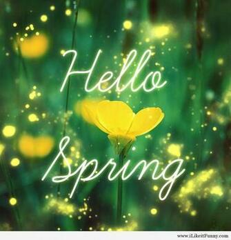 Hello Spring Wallpaper Google Keres S