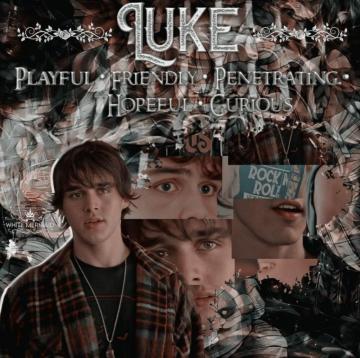 M S D