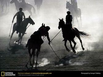 Polo Wallpaper Background