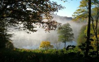 Foggy Lake HD Wallpaper