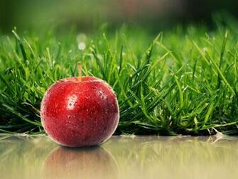 Health HD Wallpaper For Desktop High Definition