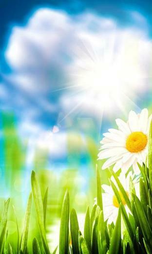 Spring Live Wallpaper Android Apps On Google Play