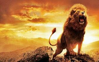 Narnia Lion Aslan HD Wallpaper Bee