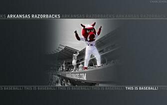 Background Computer Woopig Ribbytib Gallery Wallpaper