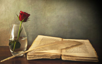 Photography Still Life HD Wallpaper